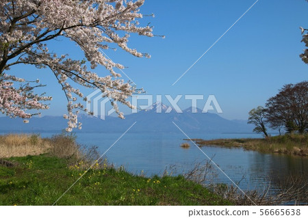 豬苗代湖和Hagiyama（湖山郡郡）在春天 56665638