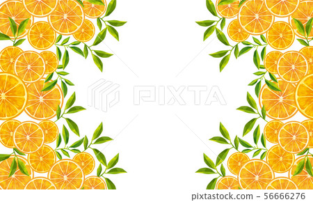 Fruit: Orange and leaf Fruit: Orange and leaf 56666276