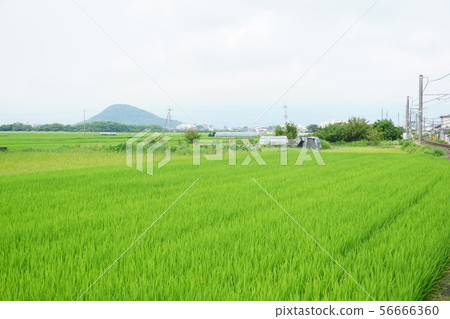 鄉村景觀 56666360