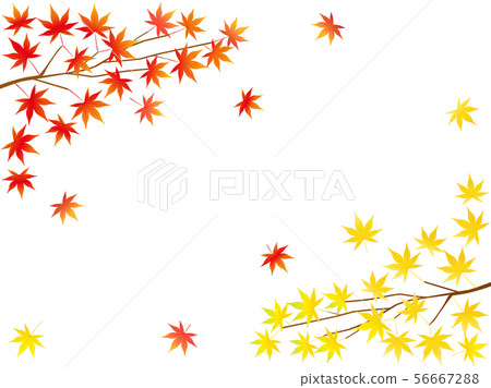 Autumn leaves 54 Autumn leaves 54 56667288