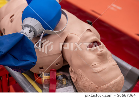 CPR Airway Management Training medical procedure 56667364