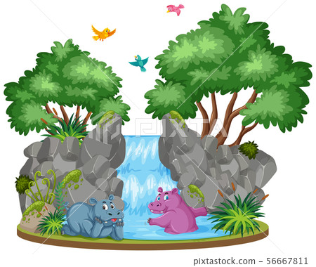 Background scene of two hippo by the waterfall 56667811