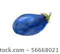 蔬菜 茄子 意大利人 56668021