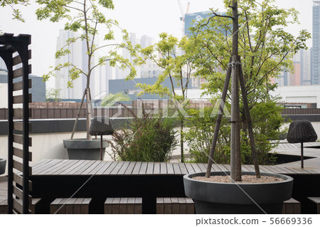 City garden nature park vacant lot 56669336