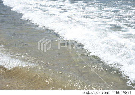 Sea wave bathing 56669851