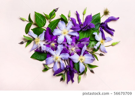Heart made from beautiful purple flowers.. Summer Heart made from beautiful purple flowers.. Summer 56670709