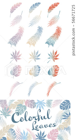 Tropical leaf 56671725