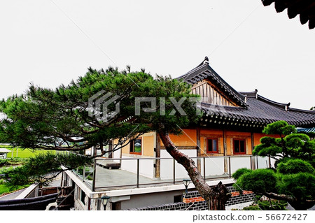 Dosol藝術博物館 56672427