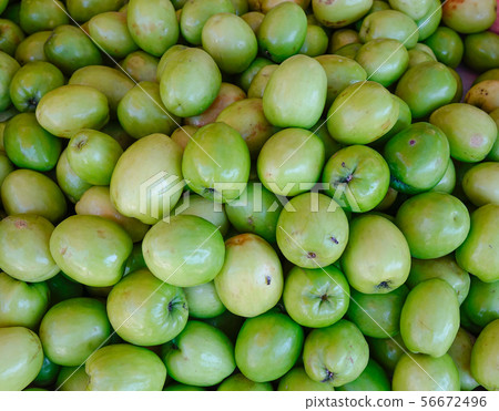 Ziziphus mauritiana, also known as Jujube Ziziphus mauritiana, also known as Jujube 56672496