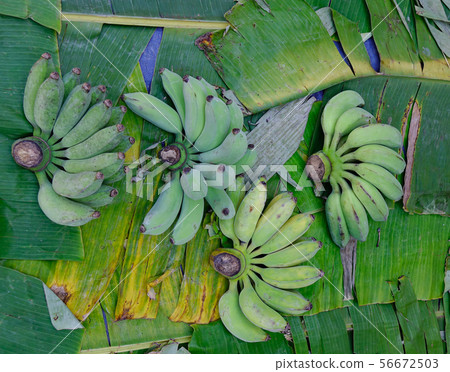 Green banana for sale at rural market 56672503