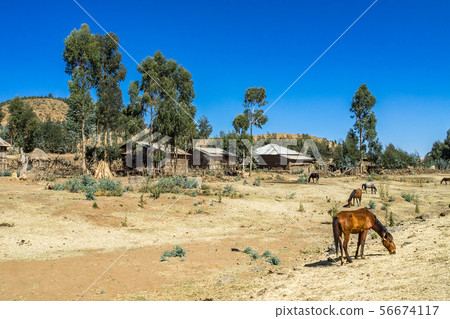 a little village in the Simien Mountains in Northern Ethiopia 56674117