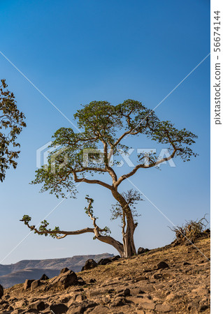 Landscape view near the Blue Nile falls, Tis-Isat in Ethiopia, Africa Landscape view near the Blue Nile falls, Tis-Isat in Ethiopia, Africa 56674144