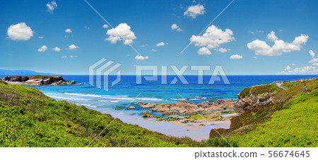 Summer blossoming Atlantic coastline, Galicia Summer blossoming Atlantic coastline, Galicia 56674645