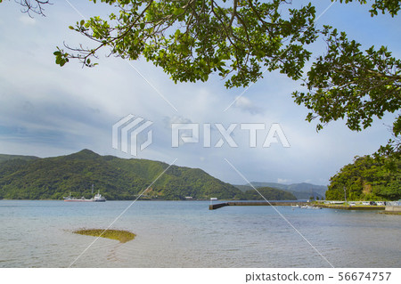 在被採取的公共汽車站附近的海景 在被採取的公共汽車站附近的海景 56674757