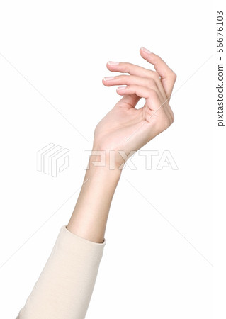 56676103