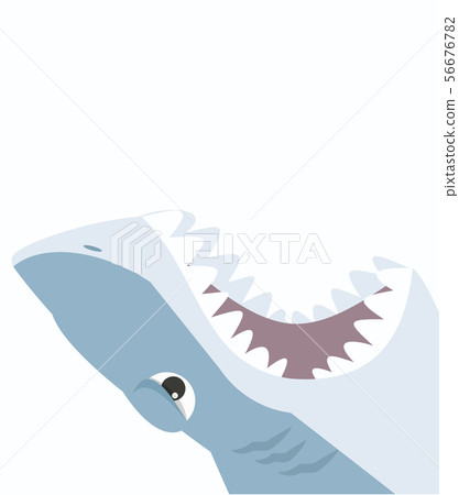 Shark open mouth on a white background Shark open mouth on a white background 56676782