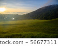Morning of the plateau 56677311