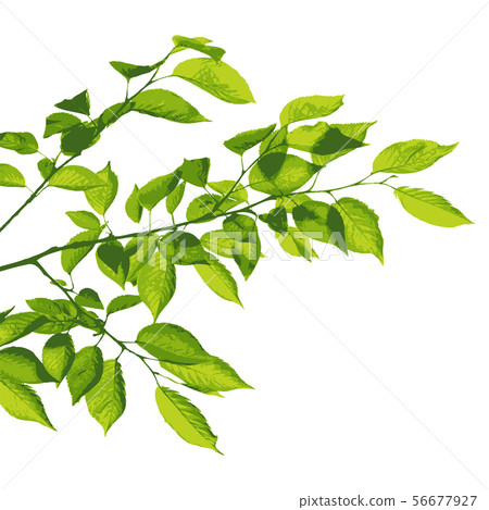 New Green Background White 56677927