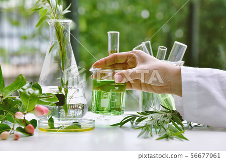 Scientist with natural drug research, Natural 56677961