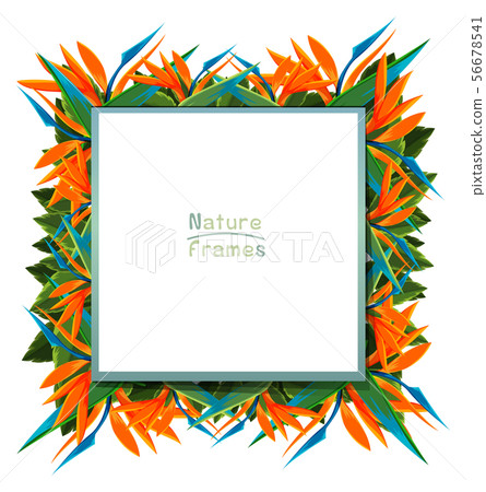 Frame template with bird of paradise flowers 56678541