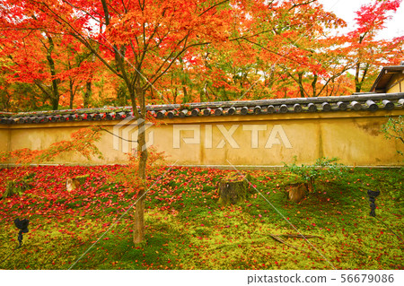 Kyoto Autumn's Bunkyoin Kyoto Autumn's Bunkyoin 56679086