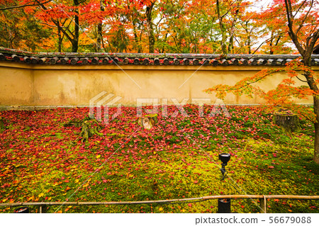 Kyoto Autumn's Bunkyoin Kyoto Autumn's Bunkyoin 56679088