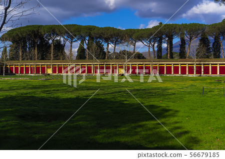 Pompeii, Italy Palestra Grande courtyard. 56679185