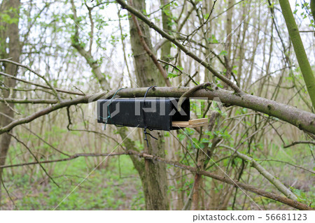 Dormouse nest tube survey box Dormouse nest tube survey box 56681123