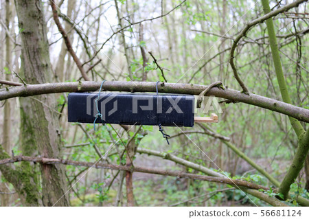 Dormouse nest tube survey box Dormouse nest tube survey box 56681124