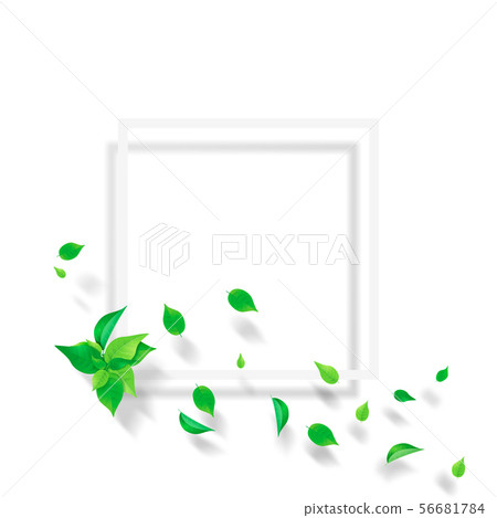 Fresh green-leaf-white frame-png-transparent Fresh green-leaf-white frame-png-transparent 56681784