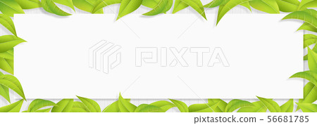 Green-leaf-leaf-whiteboard-fresh green-shiroki 56681785