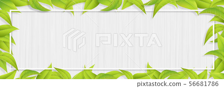 Green-Leaf-Leaf-Frame-Fresh Green-Shiroki Green-Leaf-Leaf-Frame-Fresh Green-Shiroki 56681786