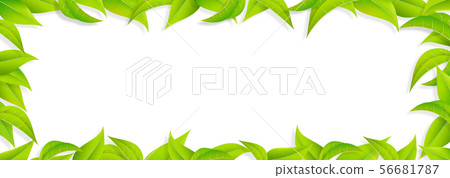 Green-leaf-leaf-frame-fresh green-png-transparent 56681787