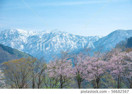 富山的美麗景色 富山的美麗景色 56682567