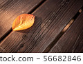 Bench and fallen leaves 56682846