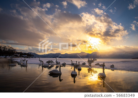Lake Kussharo / Sandyu Winter~天鵝溫泉 56683349