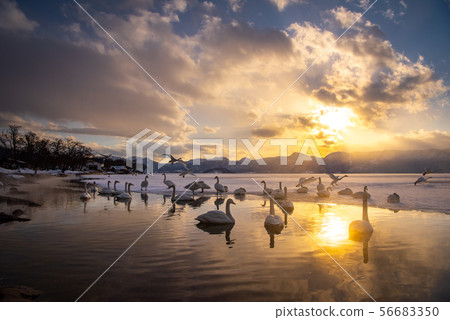 Lake Kussharo / Sandyu Winter~天鵝溫泉 Lake Kussharo / Sandyu Winter~天鵝溫泉 56683350