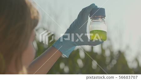 Agriculture science researcher on Corn Fields. Woman scientist with test tube doing research outdoor Agriculture science researcher on Corn Fields. Woman scientist with test tube doing research outdoor 56683707