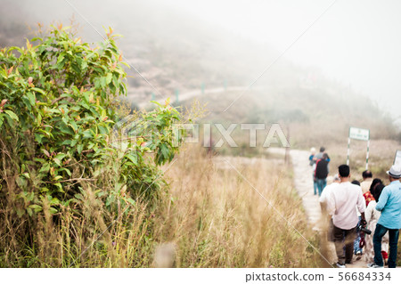 Nohkalikai Wakaba Falls Cherrapunjee Meghalaya 56684334