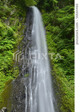 [鳥取縣鳥取市] Ame瀑布（日本100佳瀑布） 56684460