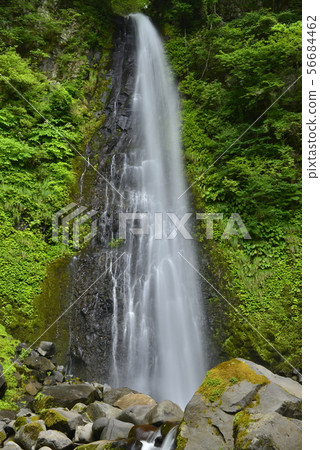 [Tottori City, Tottori Prefecture] Ame Waterfall (100 Best Waterfalls in Japan) 56684462