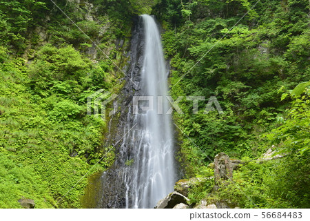 [Tottori City, Tottori Prefecture] Ame Waterfall (100 Best Waterfalls in Japan) 56684483
