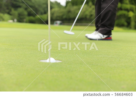 Golf -Putter- 56684603