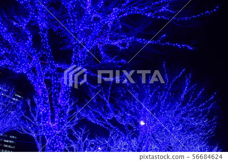 Shibuya Illumination Blue Cave Shibuya Illumination Blue Cave 56684624