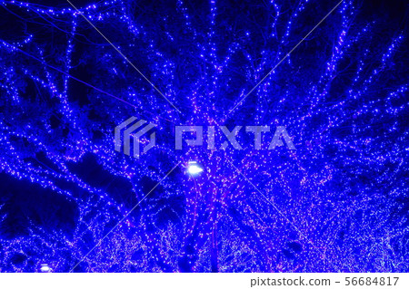 Shibuya Illumination Blue Cave Shibuya Illumination Blue Cave 56684817