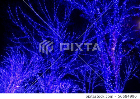 澀谷照明藍洞 56684990