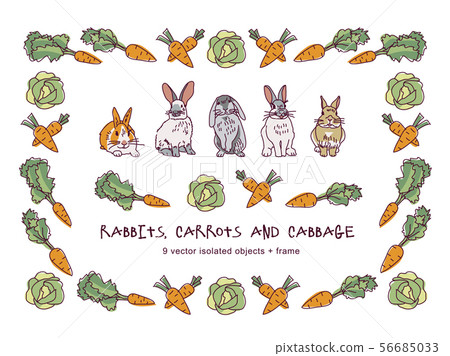 Rabbits carrots cabbage and border isolate objects 56685033