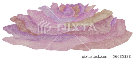 Hand-painted sea material coral 56685328