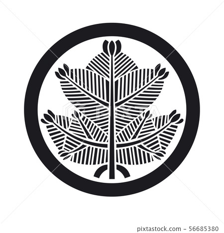 家庭嵴松 56685380