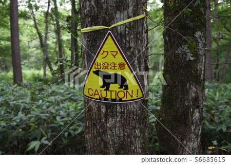 Bear appearing attention signboard Bear appearing attention signboard 56685615